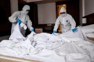 Bed Bug Fumigation Leeds