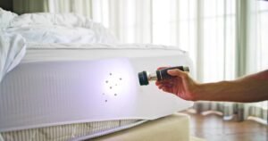 Bed Bug Inspection Leeds