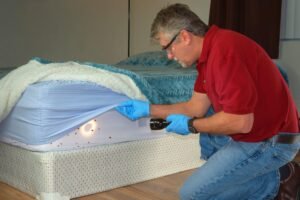 Bed Bug Inspection Leeds