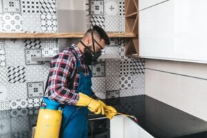 Bed Bug Prevention Services Leeds
