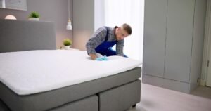 Bed Bug Removal Leeds