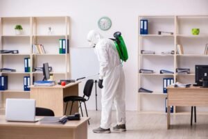 Commercial Bed Bug Treatment Leeds