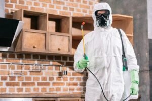 Commercial Bed Bug Treatment Leeds