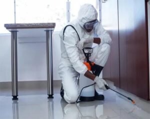 Commercial Bed Bug Treatment Leeds