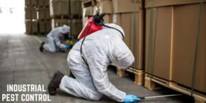 Commercial Bed Bug Treatment Leeds