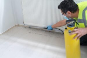 Emergency Bed Bug Treatment Leeds