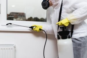 BEDBUG HEAT TREATMENT BRADFORD