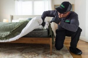 Hotel Bed Bug Treatment Leeds