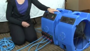 BedBug Heat Treatment Leeds