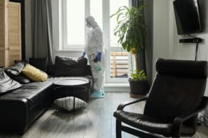 Bed Bug Prevention Services Leeds